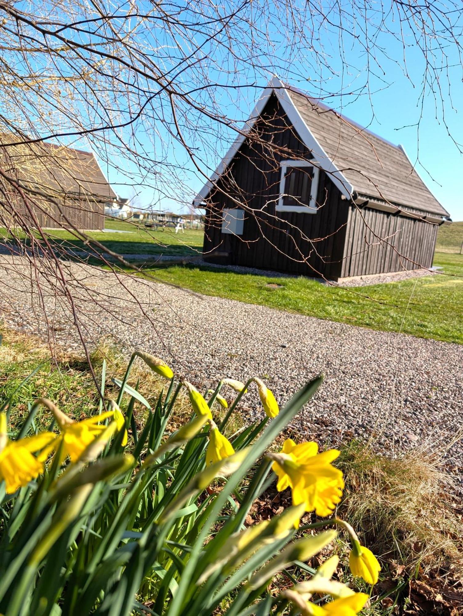 Villa Macbeth'S Hillock Forres Exterior foto
